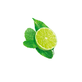 Citror Citron vert - Pictogramme